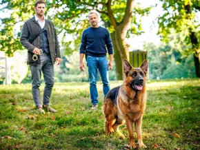 “Kommissar Rex” erhält nach Comeback weitere Folgen