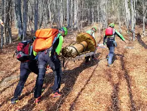 Pilzsaison: Augen auf im Bergwald!