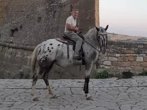 “Das Auto ist zu teuer, ich reite zur Arbeit!”