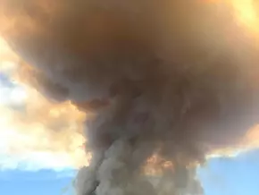 Evakuierung bei Brand im Föhrenwald im Bezirk Neunkirchen