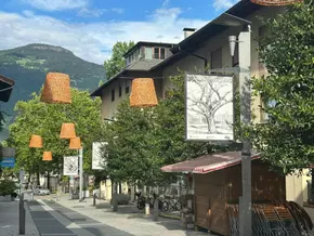 Hommage für Südtiroler Künstler Markus Vallazza