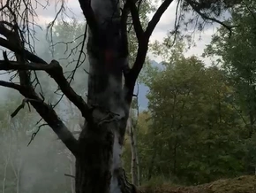 Blitzeinschlag in Baum fordert Feuerwehr Plaus