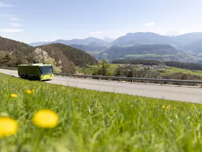 Von Bozen bis Bruneck: So viel los ist in Südtirols Bussen diesen Sommer