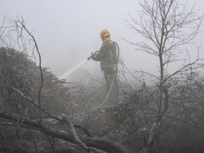 Waldbrand in Ostbelgien laut Behörden "eingekreist"