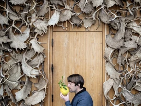 Top-Restaurant Noma ist nach Skandalen zurück