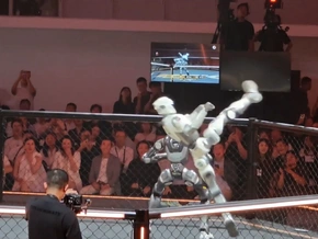 KI-Roboter prügeln sich im Kampfkäfig - VIDEO