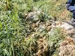 Limone am Gardasee: „Schlaumeier” füllte seinen Pool mit Bachwasser