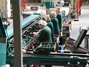 Steigende Temperaturen, neue Verantwortung am Arbeitsplatz