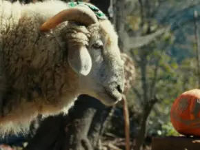 "Sheep" im ZDF: Wenn Düringer und Minichmayr Schafe sprechen