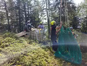 Entstehungsbrand im Wald in Weißenbach