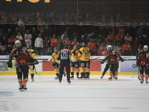Bärenstarke Wölfe entzaubern den Meister
