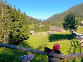 Naturparks Südtirol: “Der Gipfel der Sinnlosigkeit”