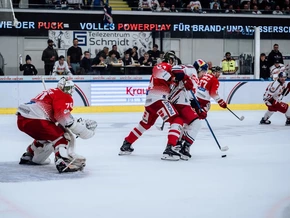 Starke Foxes erobern Salzburg
