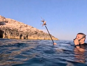Feuerfisch: Kroatien packt die Harpune aus