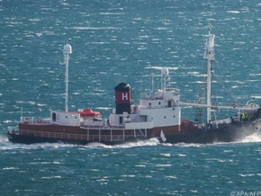 Island will kommerziellen Walfang beenden