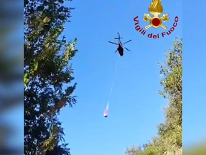 Kuh in Abgrund: Mit Heli gerettet – Video