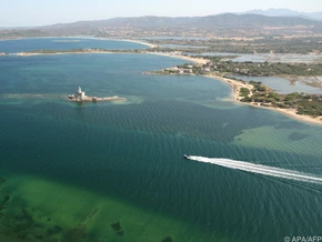 Krypto-Milliardär Blumer heiratet Partner auf Sardinien