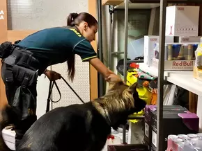 Drogenhandel im Burggrafenamt: Zwei Männer in U-Haft – VIDEO