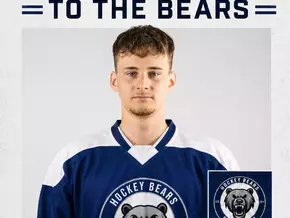 Bears auf dem Weg nach Padua