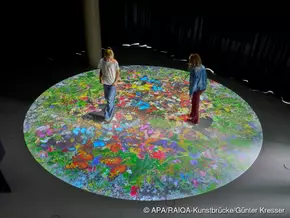 Ausstellung in Innsbruck zeigt Kunst als lebendes System