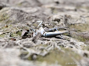 Drittwärmster September seit Aufzeichnungsbeginn in Europa