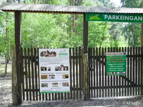 Mädchen in deutschem Wildpark von Wolf schwer verletzt