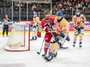 Foxes dominieren das Brenner-Derby
