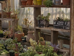 Ein Garten ist mehr als schöne Pflanzen