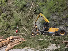Borkenkäfer zwingt in Südtirol zur Totalsperre