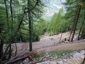 Umweltverbände orten “massive Landschaftszerstörung” durch Almerschließung in Martell