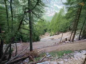 Umweltverbände orten “massive Landschaftszerstörung” durch Almerschließung in Martell
