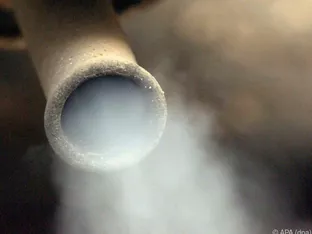 Grüne in Bruneck setzen auf Sensibilisierung für saubere Luft