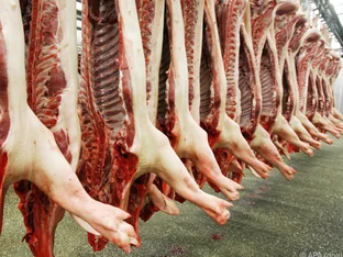 Schlachthof Bozen weiter geschlossen: Wiedereröffnung frühestens im März