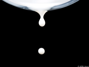 Milchhöfe mit stabilem Ergebnis: Marktumfeld verschärft sich