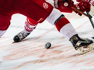 Start der Viertelfinalserie zwischen Bozen und Olimpija Ljubljana