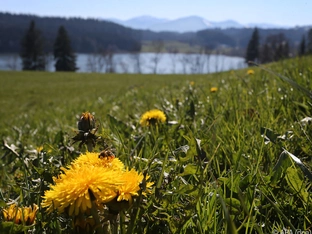 Südtirol: Laue Nachmittage bis knapp 20 Grad