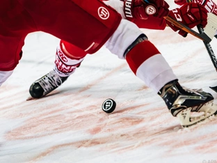 Die Foxes empfangen Linz