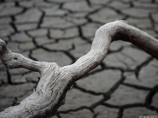 Meteorologen beklagen zunehmende Angriffe in sozialen Netzwerken