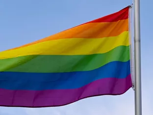 Freiheitliche gegen Regenbogenflaggen in und auf öffentlichen Gebäuden