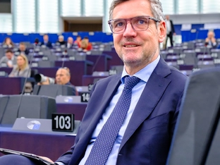 EU-Entwaldungsverordnung: Aufschub um ein Jahr