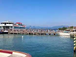 Rätselhaftes Fischsterben beunruhigt Gardasee-Gemeinde