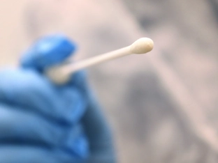 Corona-U-Ausschuss: Stellungnahmen auch aus Deutschland und Österreich