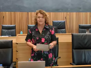 Neues Landesgesetz zum Ehrenamt vom Landtag verabschiedet