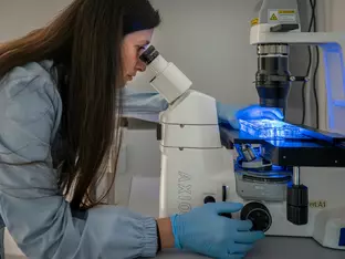 Grund zum Feiern für das Institut für Biomedizin