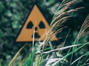 Grüne warnen vor Atomenergie in Italien