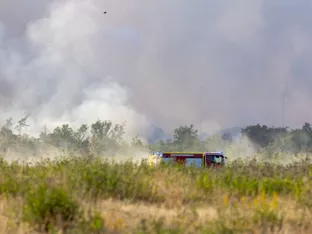 Waldbrände in Deutschland, Türkei und auf Kreta