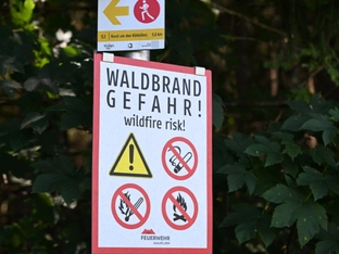 Waldbrandgefahr in Österreich "lokal relativ hoch"