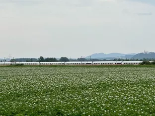 Mann greift in Niederbayern Fahrgäste in ICE nach Wien an