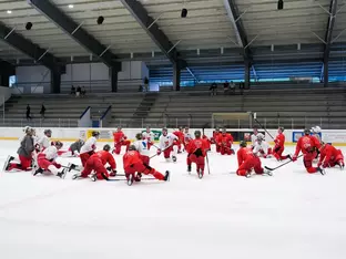 Die Foxes auf dem Eis in Corvara