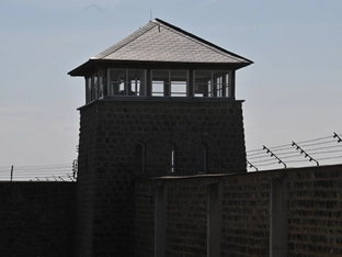 Grüne erinnern an den Holocaust